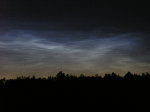 nlc 2__p7147977.jpg